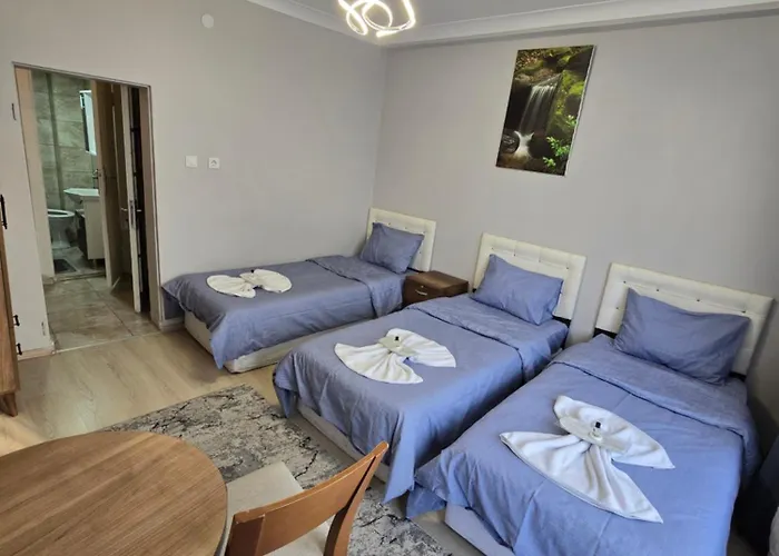 Taksim Milenyum Aparthotel *